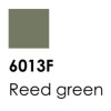 6013F Reed Green