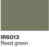 IR6013 Reed Green matt
